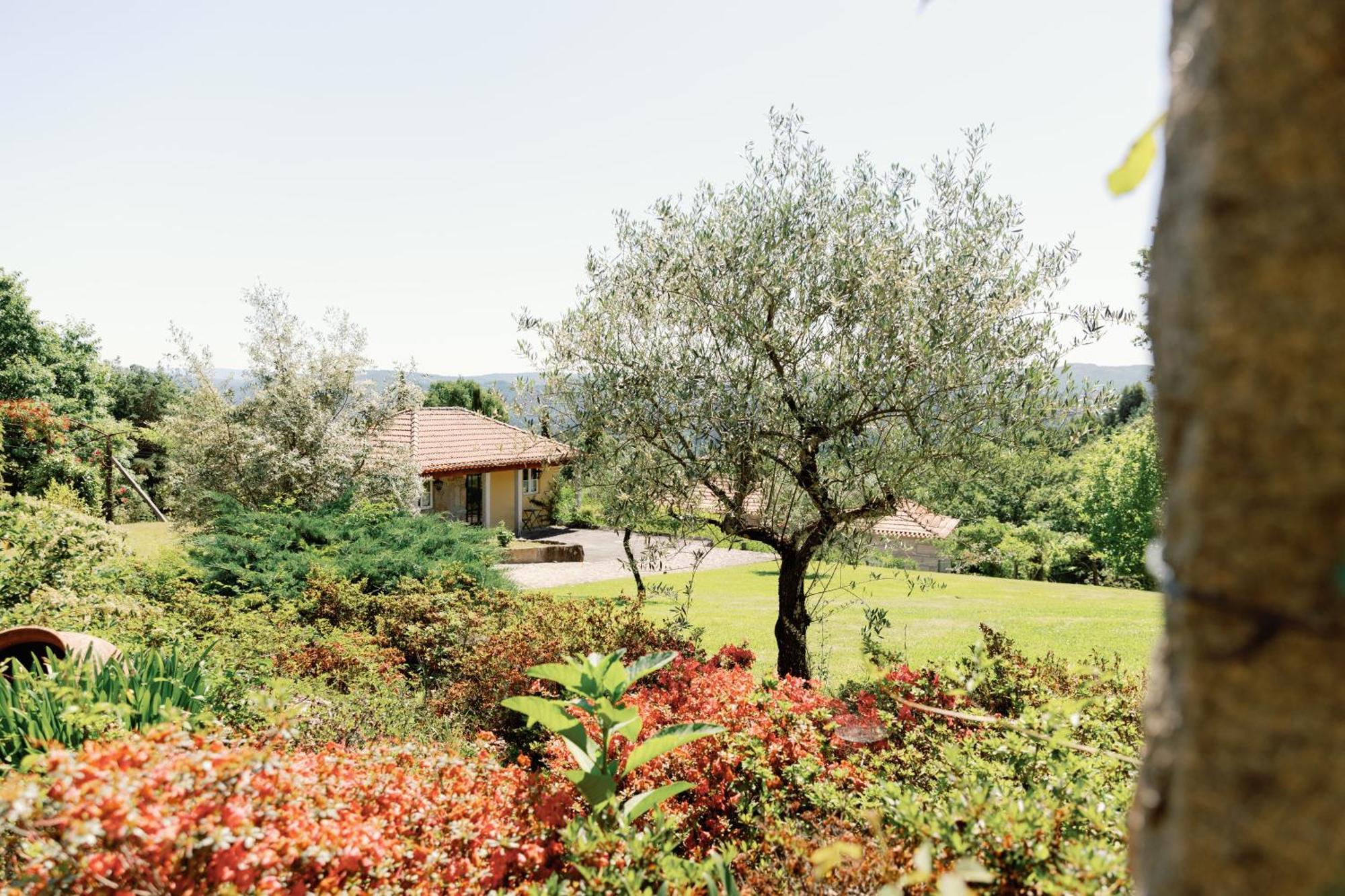 The Fox House - Private Villa & Nature São Pedro do Sul Eksteriør bilde